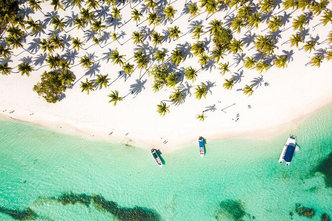 Saona Island Cruise & Private Beach - An In-Depth Look at the Tour Experience