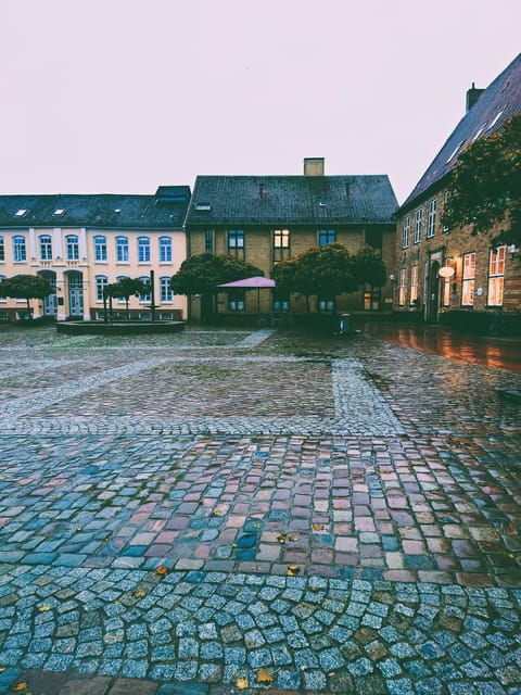 Schleswig: Highlights tour (cathedral, old town, Holm, city harbor)