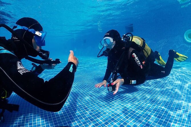 Scuba Diving Experience for Beginners in Ponta de São Lourenço
