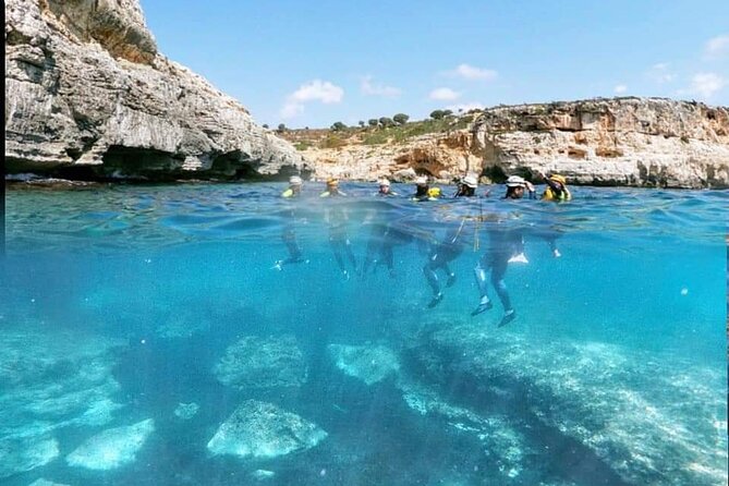 Sea Caving Cova Coloms No Transport - Highlights from the Experience