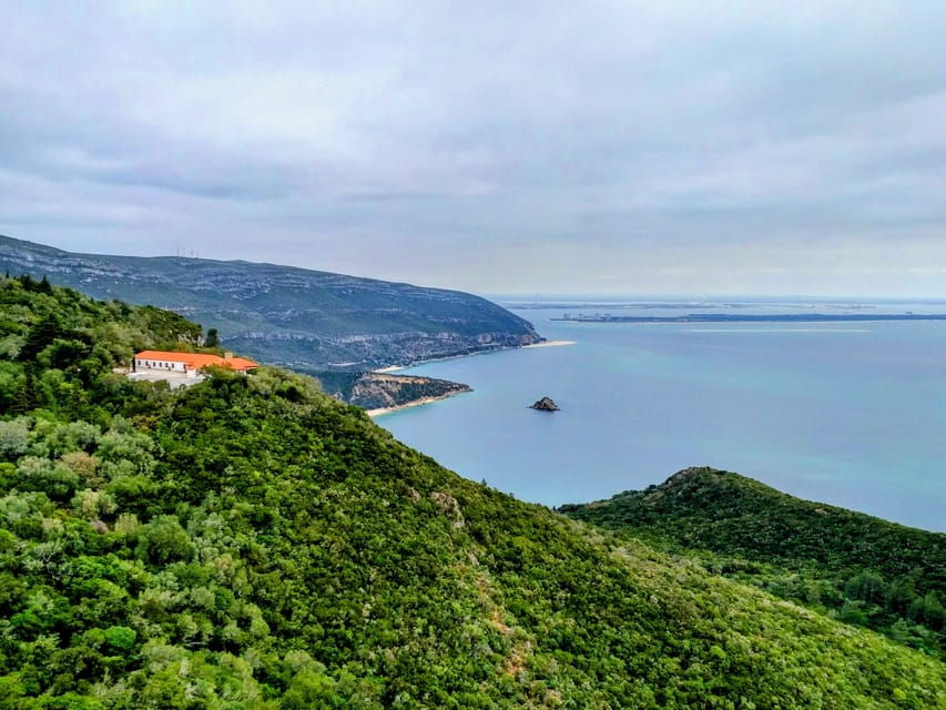 Setúbal: Market, Tiles and Wine (From Lisbon) - A Closer Look at the Itinerary and Experiences
