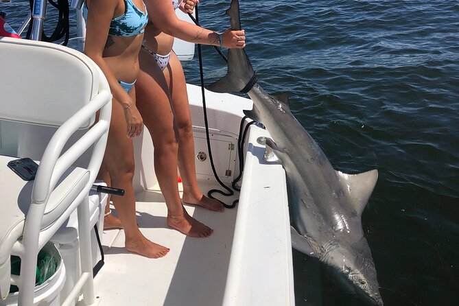 Shark Fishing Tampa Bay - Final Thoughts