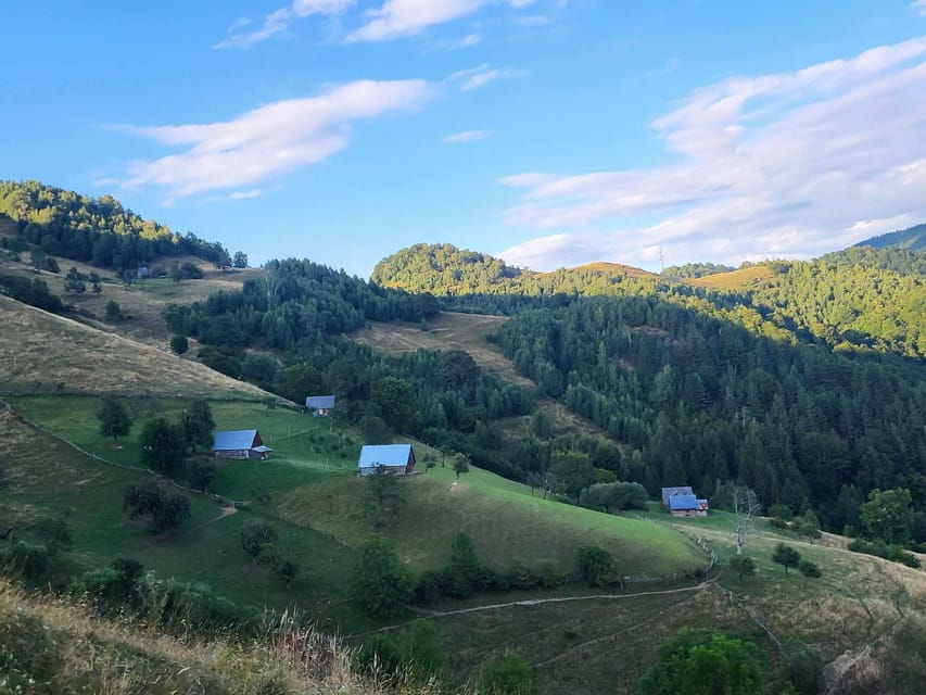 Sibiu: Cindrel Mountains Hike with Traditional Brunch - An Overview of the Experience