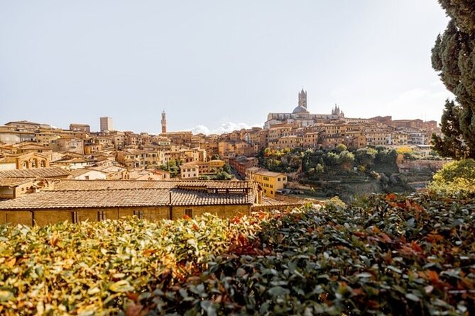 Siena Highlights Private Walking Tour With A Guide (Private Tour) - What’s Included and What’s Not