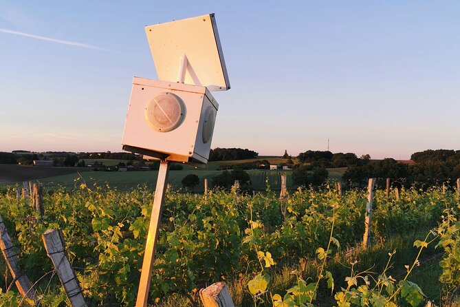 Simple Visit to Discover the Domaine d’Arton