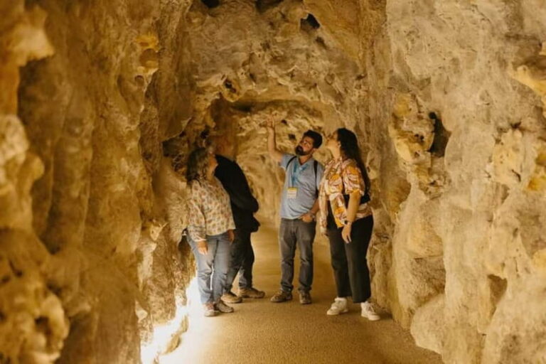 Sintra: Quinta da Regaleira Entry Ticket and Guided Tour