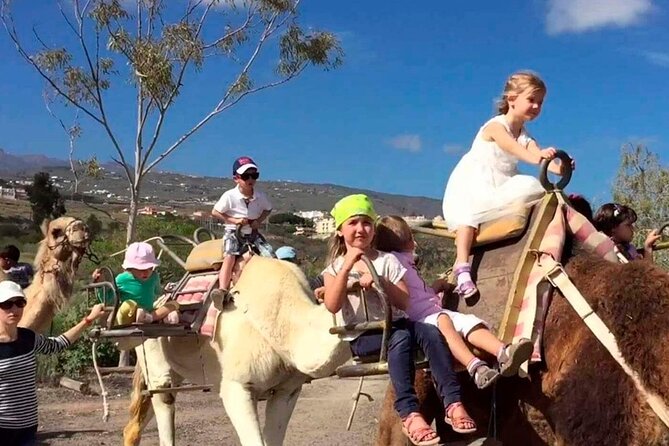 Skip the Line: Camel Park Tenerife Ticket