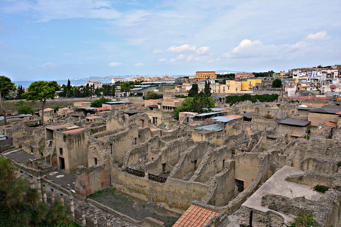 Skip-the-Line Ticket for Herculaneum Ruins - Is This Tour Right for You?