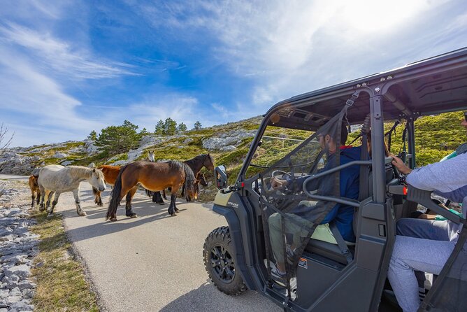 Skywalk Biokovo Tour in Buggy’s