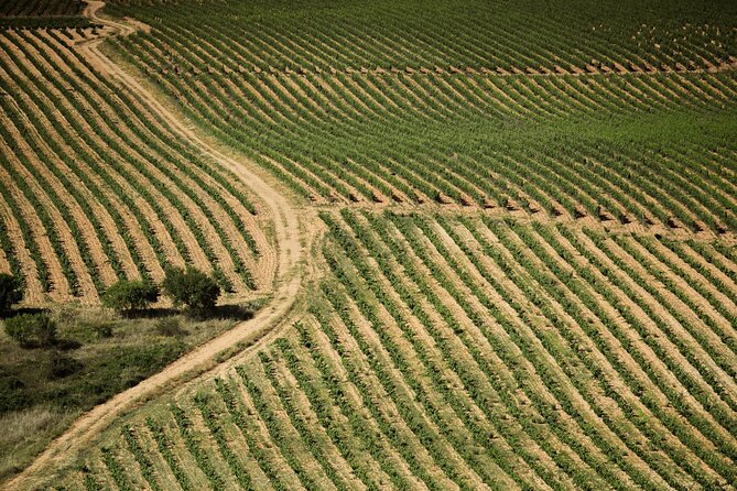 Small-Group Rioja Uncorked Tour from San Sebastian