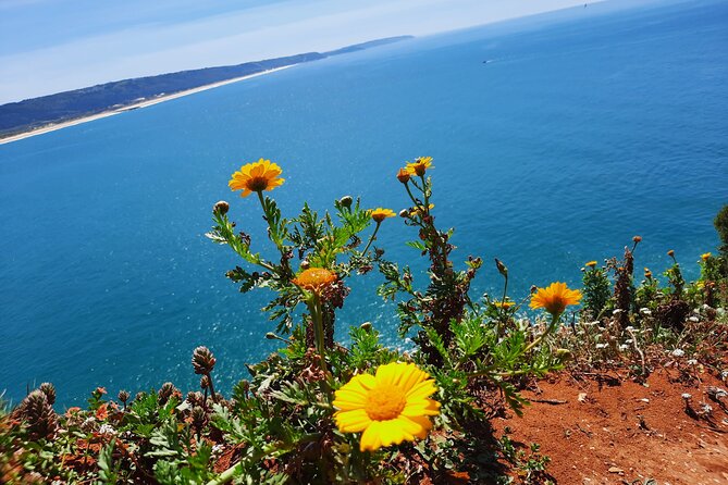 Small Group Tour to Nazaré and Obidos from Lisbon