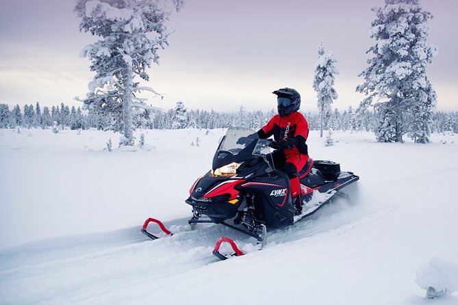 Snowmobile Tour with Small Group in Remote Wilderness 3 Hours - Good To Know