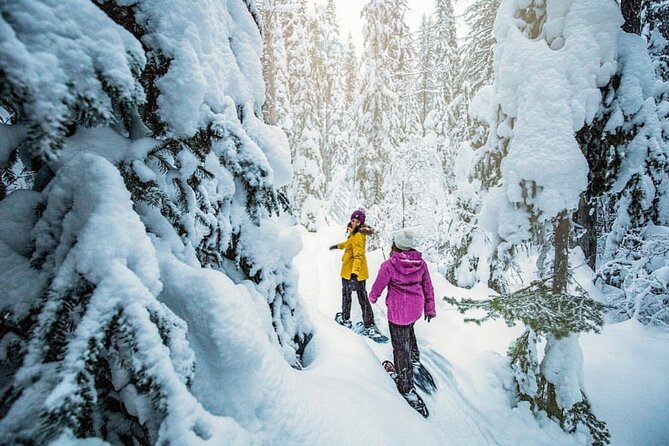 Snowshoe Rentals in South Lake Tahoe