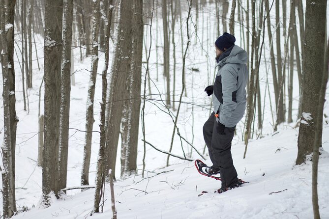 Snowshoeing tour with Wild Lunch - Why This Tour Offers Great Value