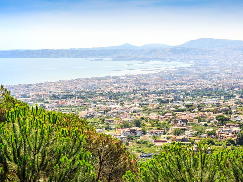 Sorrento: Mount Vesuvius & Pompeii with Round-Trip Transfer - The Experience in Detail