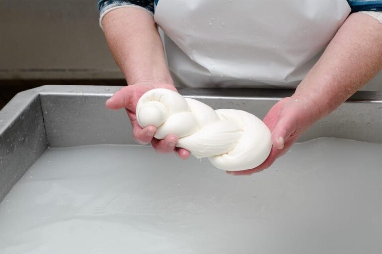 Sorrento: mozzarella cheese workshop in Vico Equense