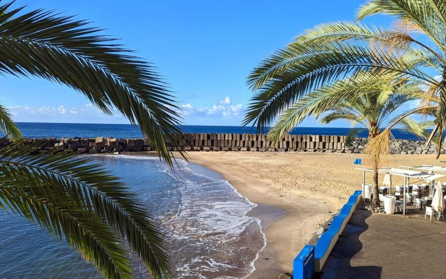 Southwest Madeira: Half-Day Cabriolet Jeep Adventure - Exploring Madeira’s Southwest Coast in a Cabriolet Jeep