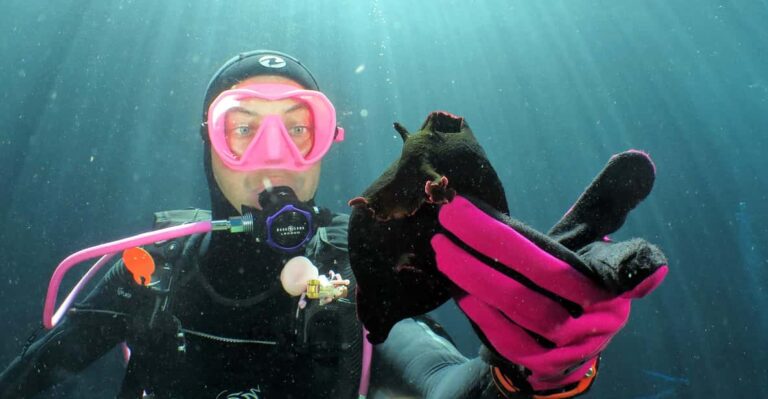 SSI Try Scuba Diving in the sea
