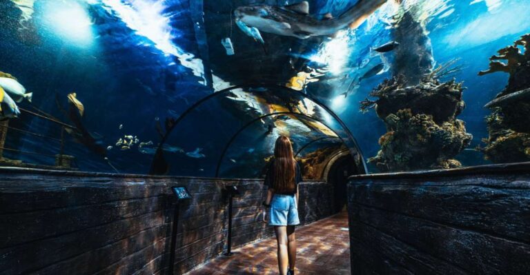 St Paul’s Bay: Malta National Aquarium Entry Ticket