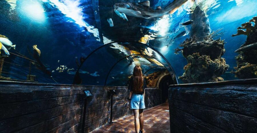St Paul's Bay: Malta National Aquarium Entry Ticket - Entrance and Location