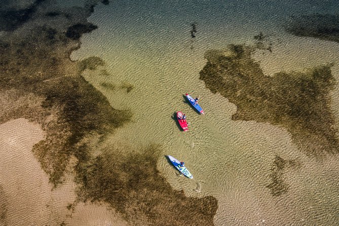 Stand-up-paddle on Laguna of Thau, rental, Sete - What’s Included and What’s Not?