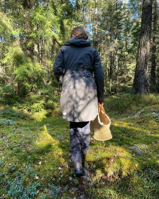 Stockholm, Mushroom and Wild Plant Foraging Tour with expert