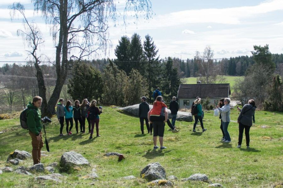 Stockholm: Sigtuna and Uppsala Viking History Day Tour - An In-Depth Look at the Viking Tour Experience