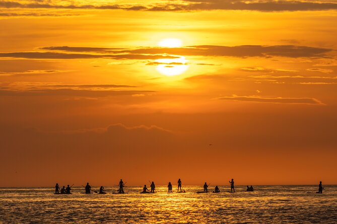 Sunrise Paddle Surf with Instructor and Photos Included - Good To Know