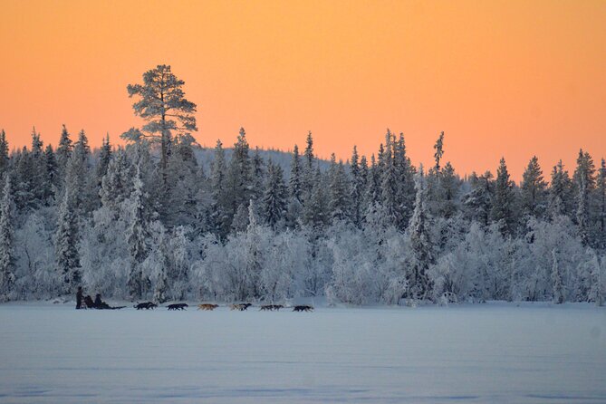 Sunrise Zen Husky Tour (10:00 to 13:00 – sitting on the sled)