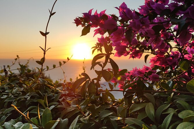 Sunset E-Bike Tour on the Sorrento Peninsula - What Makes This Tour Stand Out?