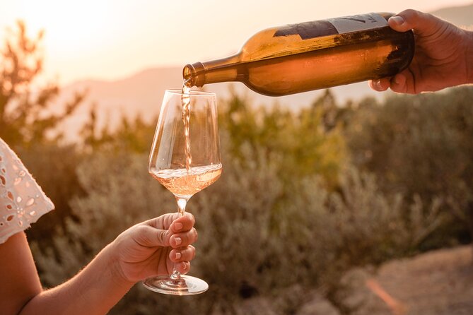 Sunset wine tasting in vineyard - The Vineyard and Land Cultivation