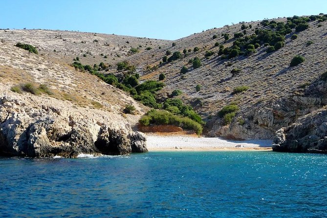 Swimming and Snorkeling on Wild bays with Captain Bobo - Why Choose This Tour?
