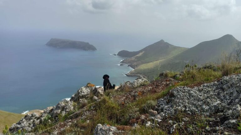 Tailored Trek: Your adventure, Your Way