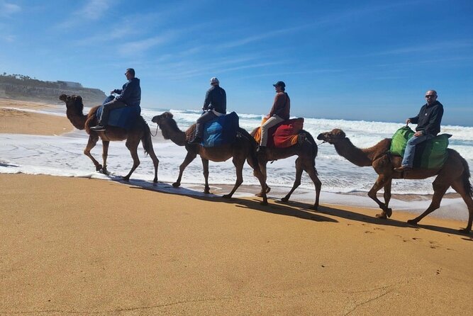 Tangier Luxury Private Day Tour From Tarifa including Camel ride - Exploring the Itinerary in Detail