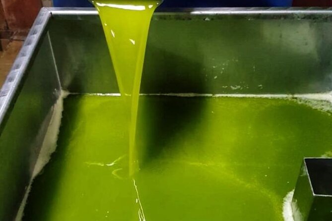 Tarragona: History & Olive Oil tasting from Barcelona - Detailed Breakdown of the Itinerary