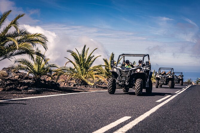 Tenerife Guided Buggy Discovery Tour Around Mount Teide