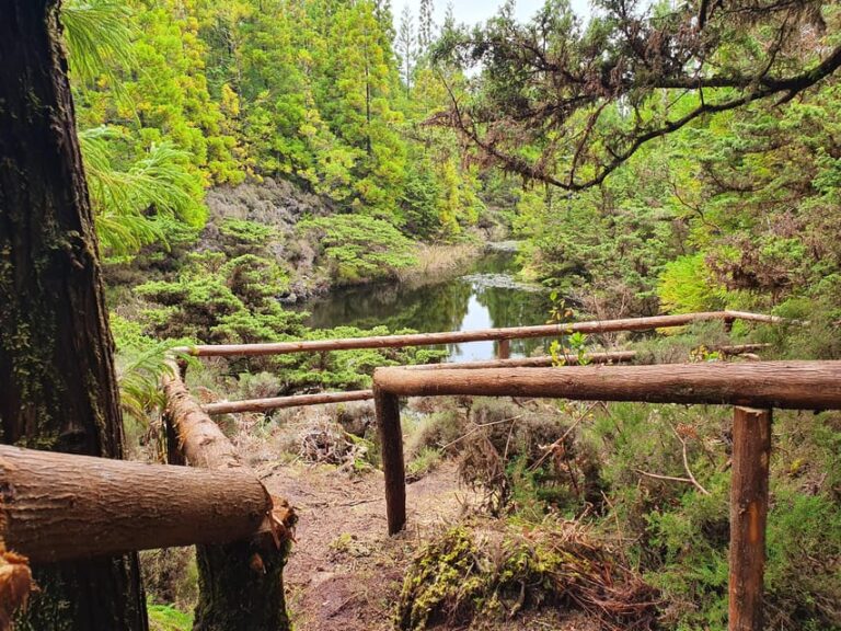 Terceira Island Half Day Hiking Trail: Mistérios Negros