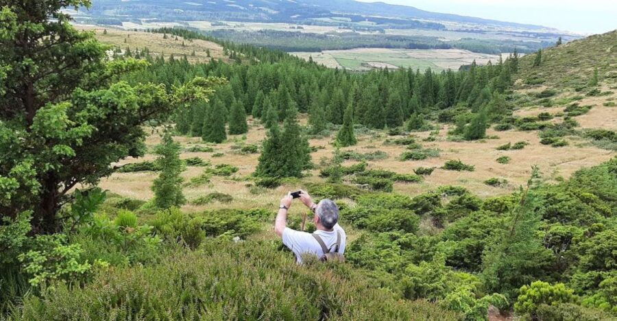 Terceira Island : Hiking Trail Rocha do Chambre - Why the Rocha do Chambre Trail Is Worth Considering