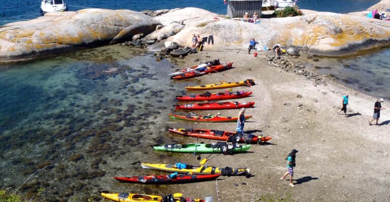 The lunch trip sea kayak tour