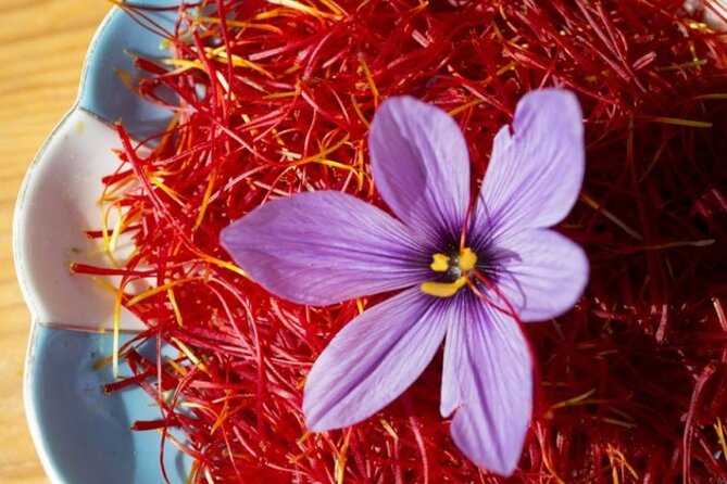 The Orange gold of San Gimignano: The Saffron DOP Cooking Class - A Deep Dive into the Saffron DOP Cooking Class