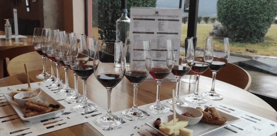 Thessaloniki: Naousa Wine Region Private Day Tour - Who Will Love This Tour?