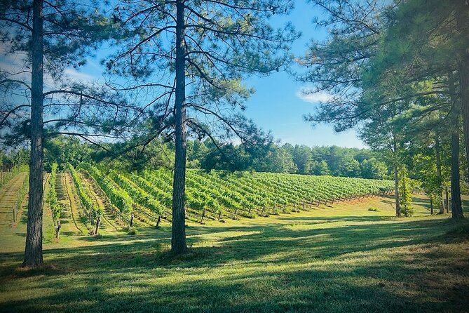 Three Vineyards Half Day Private Wine Tour From Asheville - An In-Depth Look at the Tour