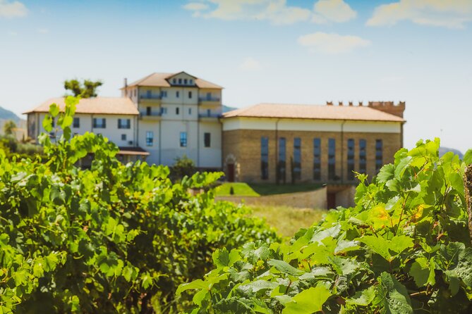 Tirana Lundra Winery Guided Tour with Wine Tasting - Why This Tour Offers Great Value