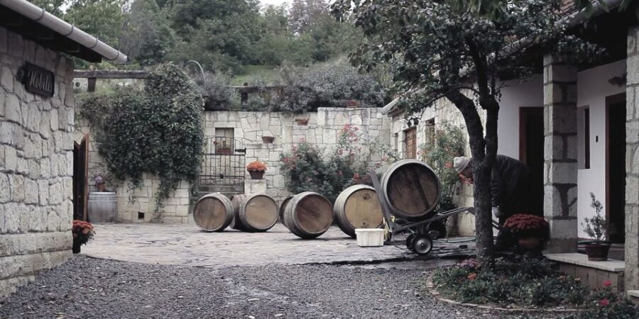 Tokaj Private Day Tour from Budapest - What This Tour Offers in Detail