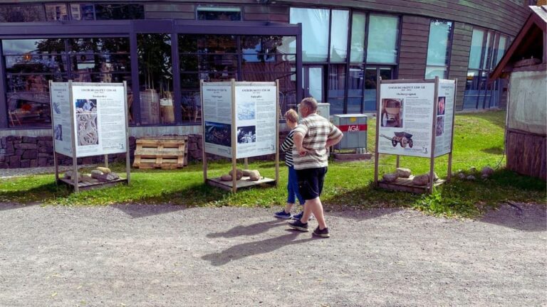 Tønsberg: Walk with a Viking – Guided Tour