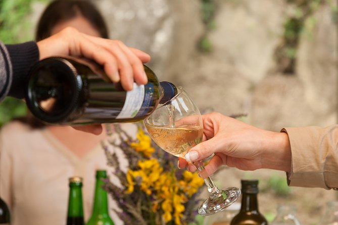 TOP TRUFFLES & WINE - Hunting & Tasting in Istria, Slovenia - The Authenticity and Atmosphere