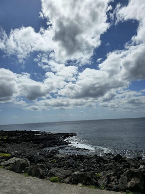 Tour along the coast of Terceira Island - The Journey Through Terceira’s Coast: What to Expect