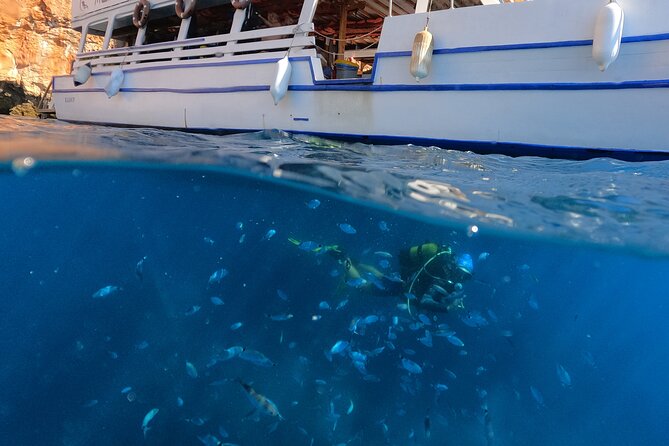 Tour in Alanya with Lunch and Guided Scuba Dives from Side