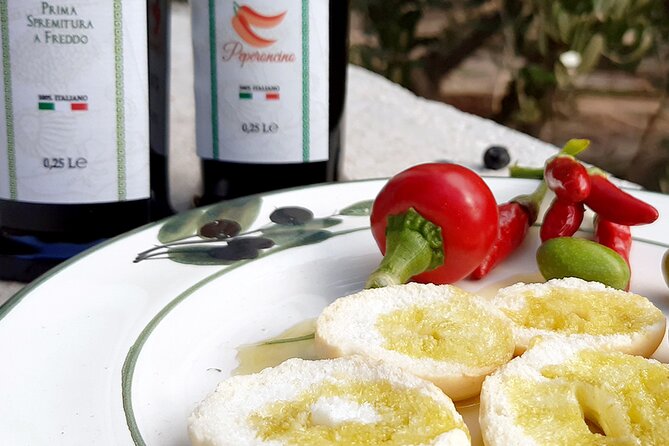 Tour of the oil mill with tasting - Discovering the olive trees and history