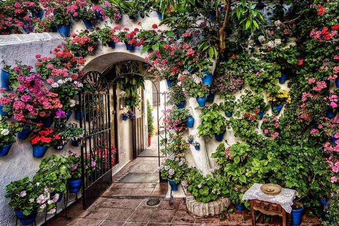 Tour pour la mosquée, l'Alcazar et le quartier juif - An In-Depth Look at the Tour Experience